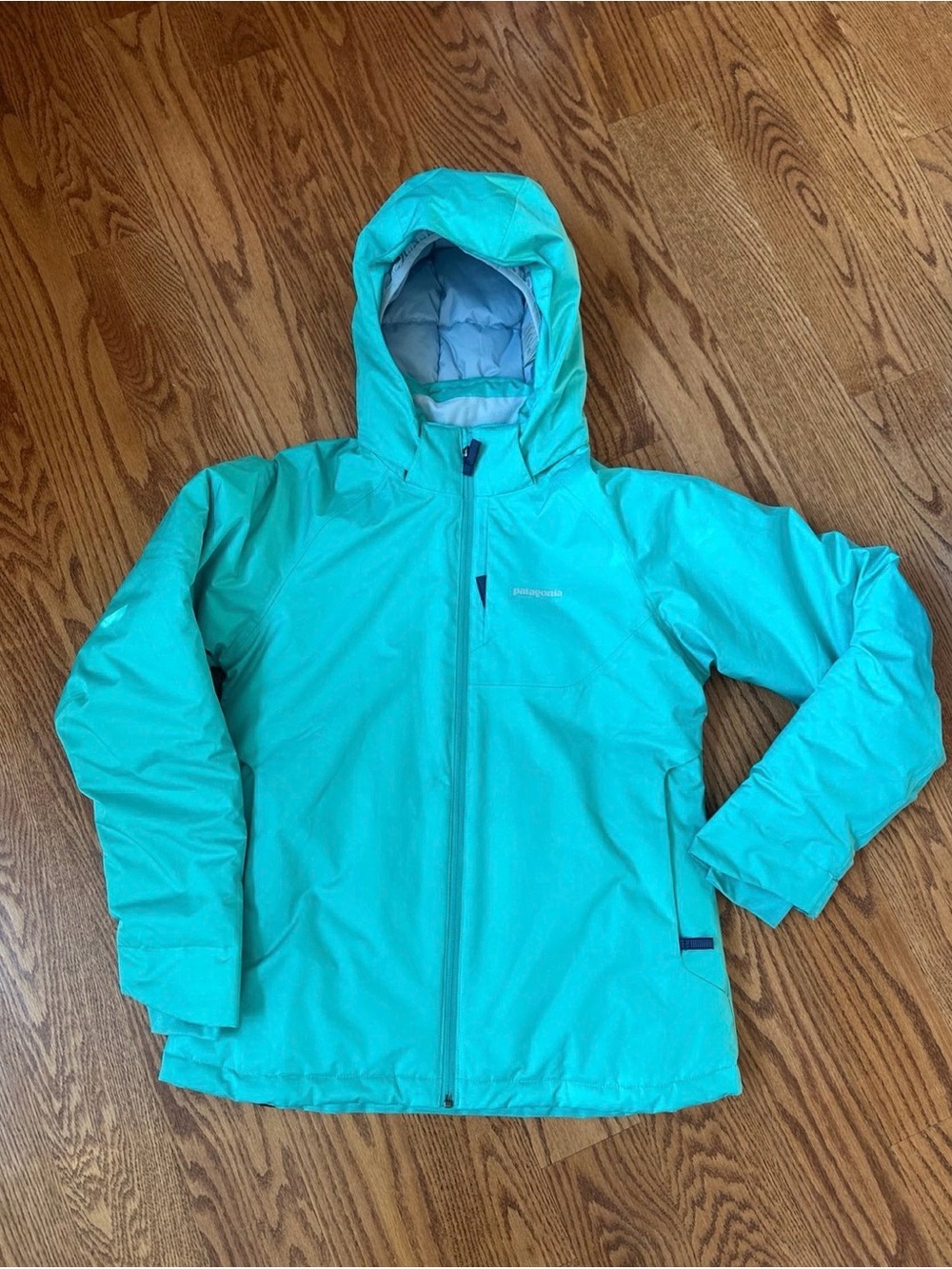 Patagonia Ski Snowboard Sledding Jacket Girls XXL 16-18
